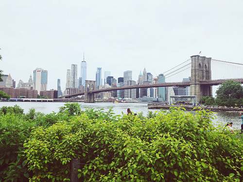 brooklyn Brooklyn Bridge, New York during daytime ny 11201